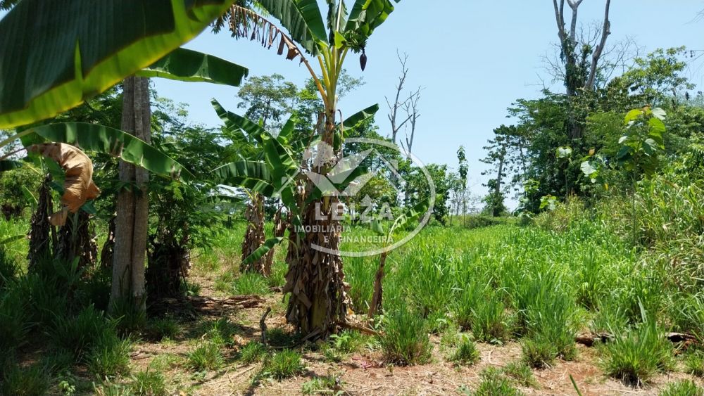 leizaimobiliaria.imudou.com.br